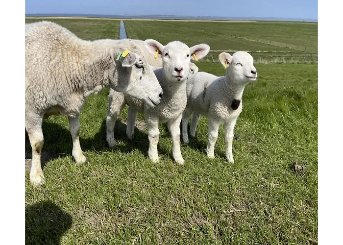 In Strandnaehe, Vakantiehuis *